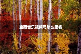 宝藏音乐视频号怎么赚钱