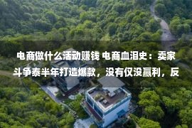 电商做什么活动赚钱 电商血泪史：卖家斗争泰半年打造爆款，没有仅没赢利，反倒亏了没有少